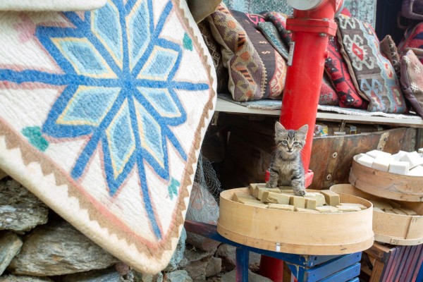 Sirince Village: A Timeless Escape from Izmir