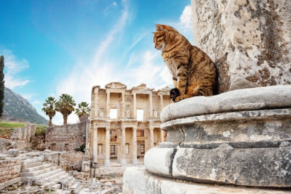 Unearthing Grandeur: Your Essential Guide to Visiting Ancient Ephesus