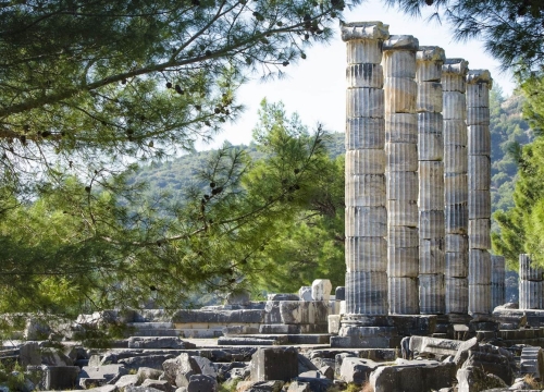 Priene & Miletus & Didyma Tour
