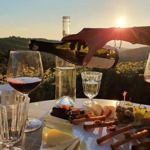 Privado - Tour de Vinos en Izmir (Tour de Vinos y Cultura en Urla)