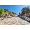 5 Secrets of Ephesus You Won't Find in a Guidebook