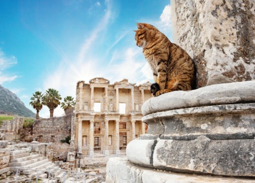 Groupo - Privado - Tour a pie por Esmirna